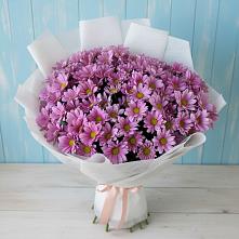 Букет цветов из:  Хризантемы в Уфе