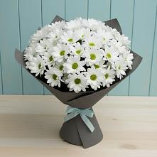 Букет цветов из:  Хризантемы в Уфе