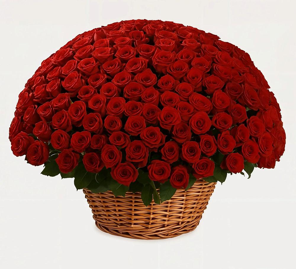 251 Премиум красная роза в Уфе Премиум букет из: Розы в Уфе