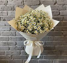 Букет цветов из:  Ромашки #REPLACE_PRED# Уфе